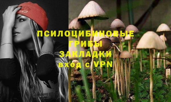 мдпв Балабаново