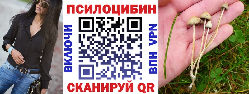 это какой сайт  Котельниково  Псилоцибиновые грибы GOLDEN TEACHER 